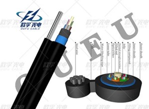 Bởi vì, nó giúp chúng ta tìm thấy điều gì sẽ xảy ra, trái ngược với sự suy luận rằng sẽ có một xu hướng lớn tiến tới dân chủ.